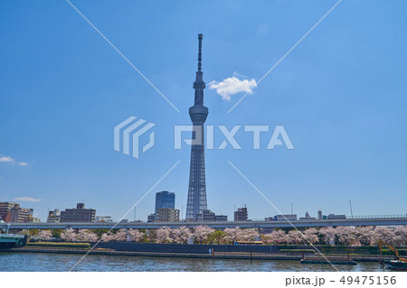 東京の隅田川の風景 東京の隅田川の風景 49475156