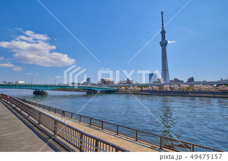 東京の隅田川の風景(言問橋方面) 東京の隅田川の風景(言問橋方面) 49475157