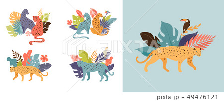 Tropical exotic animals and birds - leopards, tigers, parrots and toucans vector illustration. Wild 49476121