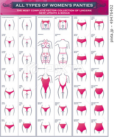 10 types of women's panties. Vector set of - Stock Illustration  [15691400] - PIXTA