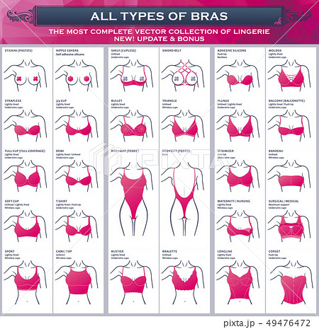 Types of bras. The most complete vector - Stock Illustration [49476472]  - PIXTA