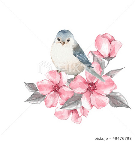 Bird and flowers. Watercolor painting 49476798
