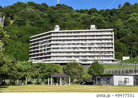 黄金山 49477531