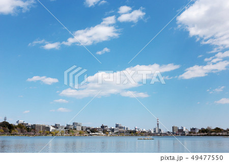 春の千波湖 茨城県水戸市 春の千波湖 茨城県水戸市 49477550