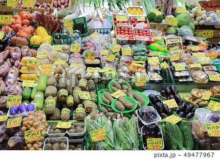 加賀野菜の陳列 加賀野菜の陳列 49477967
