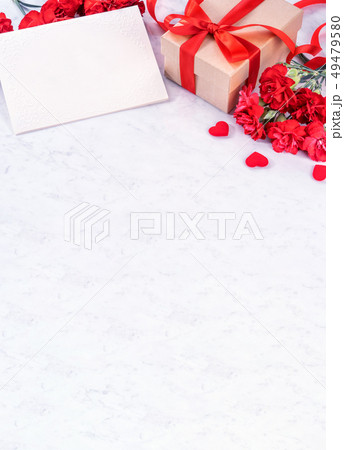 カーネーション ハマナデシコ ギフト 49479580