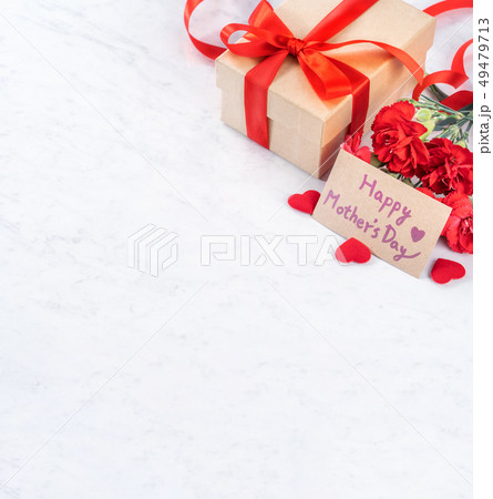 カーネーション ハマナデシコ ギフト 49479713