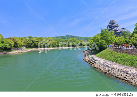 【岡山県】新緑の岡山城天守閣 【岡山県】新緑の岡山城天守閣 49480128