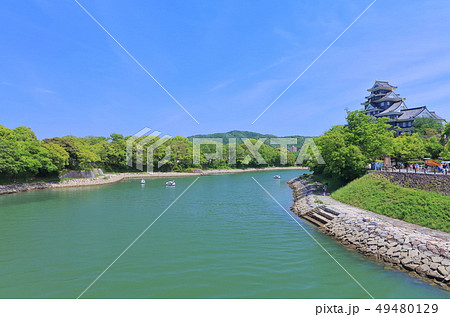 【岡山県】新緑の岡山城天守閣 49480129