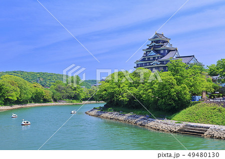 【岡山県】新緑の岡山城天守閣 49480130