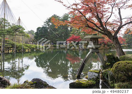 秋の金沢　紅葉真っ盛りの兼六園 49480237