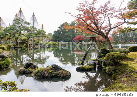 秋の金沢　紅葉真っ盛りの兼六園 49480238