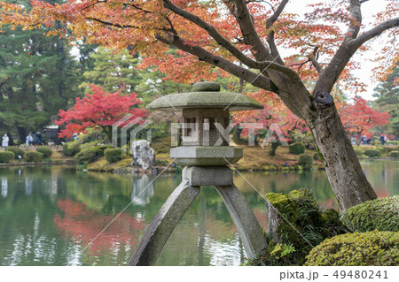 秋の金沢　紅葉真っ盛りの兼六園 49480241