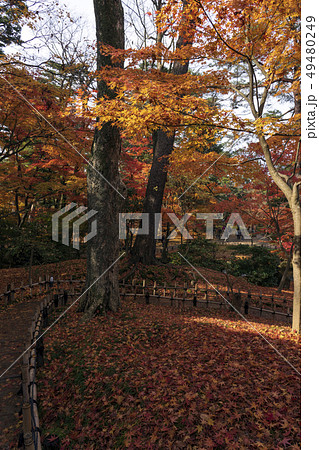 秋の金沢　紅葉真っ盛りの兼六園 49480249