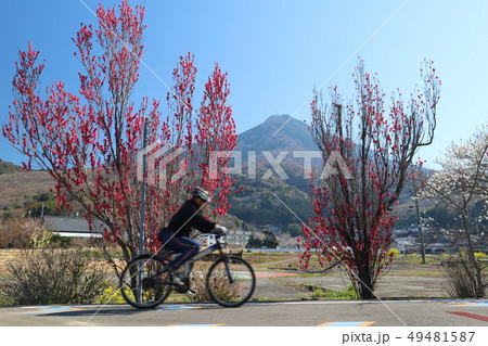 つくば霞ヶ浦りんりんロード、筑波駅近くから筑波山を望む 49481587