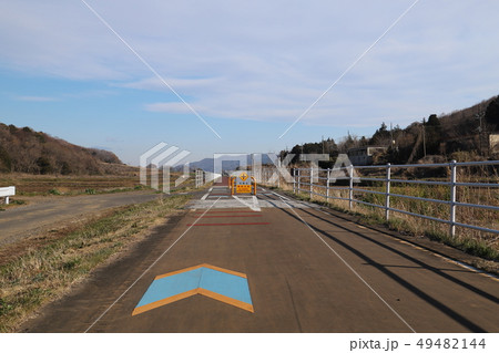 つくば霞ヶ浦りんりんロード　　岩瀬付近 49482144