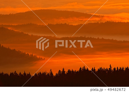 Cold morning in Sumava National park 49482672