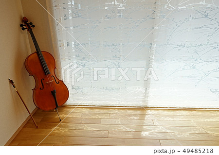 チェロ　穏やかな光がさし込む部屋で 49485218