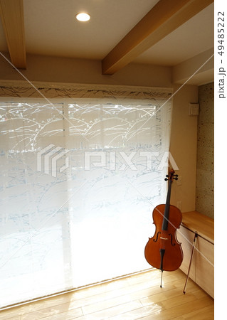 チェロ　穏やかな光がさし込む部屋で 49485222