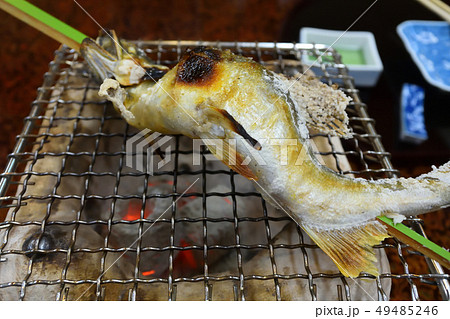 鮎の塩焼き 鮎の塩焼き 49485246