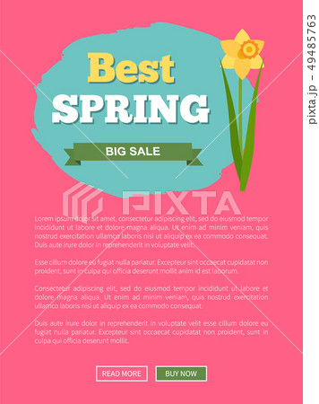 Best Spring Sale Promo Poster with Daffodil Flower Best Spring Sale Promo Poster with Daffodil Flower 49485763