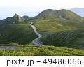 道 49486066