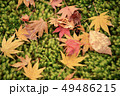 カラフル 49486215