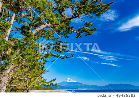 《静岡県》三保の松原・富士山 49486583