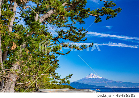 《静岡県》三保の松原・富士山 《静岡県》三保の松原・富士山 49486585