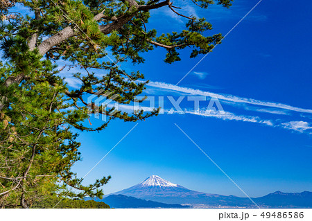 《静岡県》三保の松原・富士山 《静岡県》三保の松原・富士山 49486586