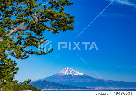 《静岡県》三保の松原・富士山 《静岡県》三保の松原・富士山 49486603