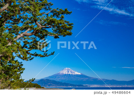 《静岡県》三保の松原・富士山 《静岡県》三保の松原・富士山 49486604