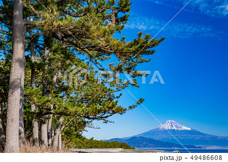 《静岡県》三保の松原・富士山 《静岡県》三保の松原・富士山 49486608