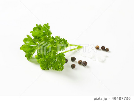 Fresh parsley leaves 49487736