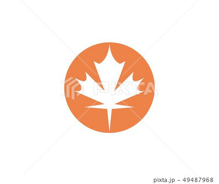 Maple leaf vector illustration Maple leaf vector illustration 49487968