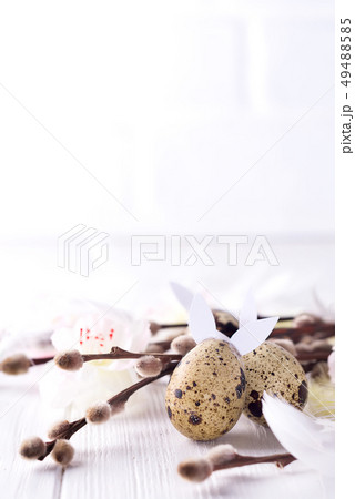 quail eggs and branches seals on white wood background, Easter decorations. quail eggs and branches seals on white wood background, Easter decorations. 49488585