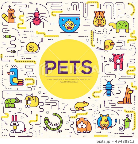 Animal flat thin line illustration icons set.  49488812