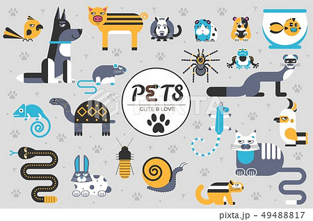 Pets flat illustration concept.  49488817
