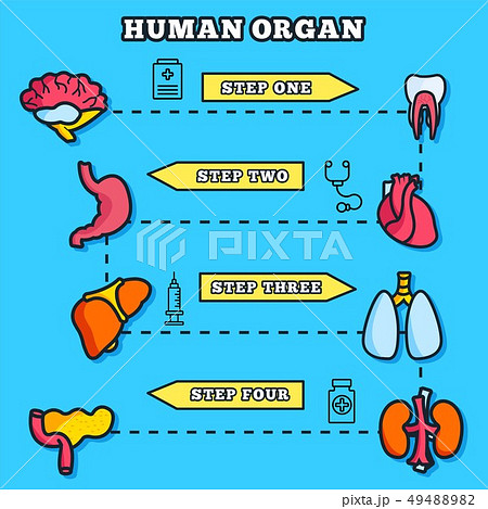Thin lines style human organs set icons concept.  49488982