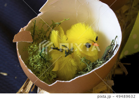 Chicken in the egg. Hatched. Egg. Easter. Chicken in the egg. Hatched. Egg. Easter. 49489632