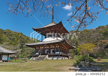 【根来寺 大塔】 (高解像度版) 和歌山県岩出市根来2286 【根来寺 大塔】 (高解像度版) 和歌山県岩出市根来2286 49490252