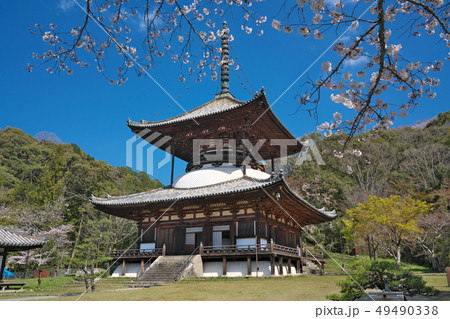 【根来寺 大塔】 和歌山県岩出市根来2286 49490338