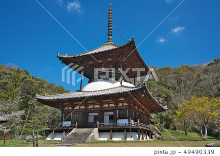 【根来寺 大塔】 和歌山県岩出市根来2286 【根来寺 大塔】 和歌山県岩出市根来2286 49490339