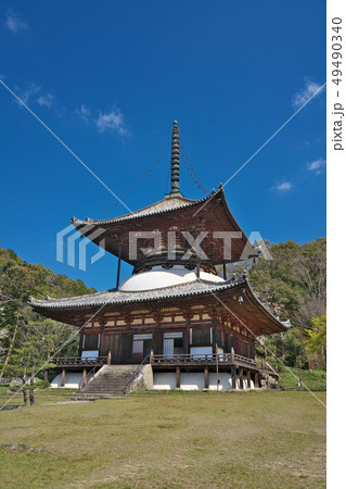 【根来寺 大塔】 和歌山県岩出市根来2286 【根来寺 大塔】 和歌山県岩出市根来2286 49490340