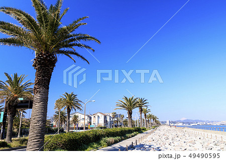 馬堀海岸 49490595