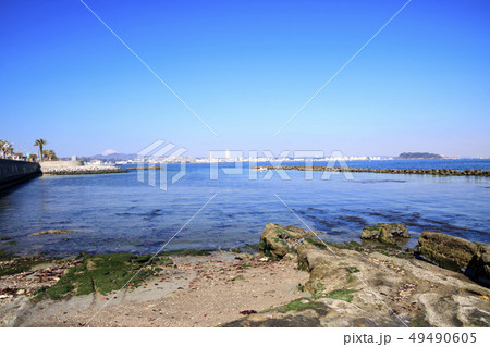 馬堀海岸 馬堀海岸 49490605