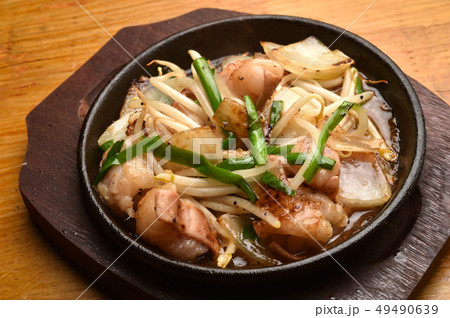 鉄板焼き ホルモン焼き 鉄板焼き ホルモン焼き 49490639