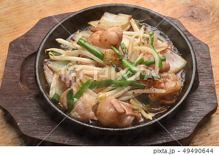 鉄板焼き　ホルモン焼き 49490644