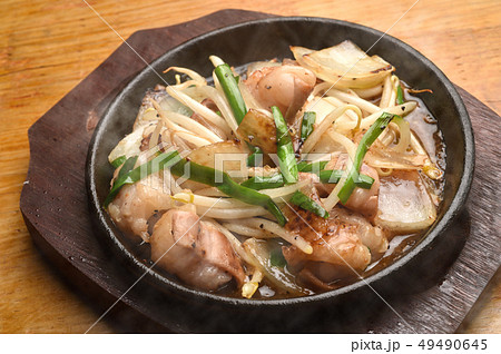 鉄板焼き ホルモン焼き 鉄板焼き ホルモン焼き 49490645