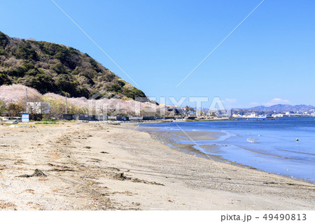 走水海岸 49490813